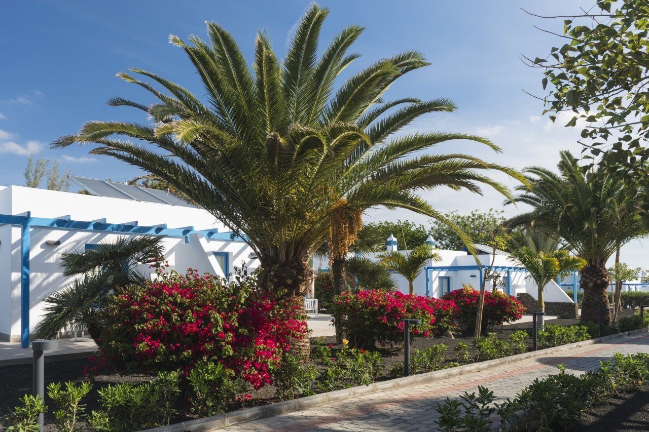 Elba Lanzarote Royal Village Resort Playa Blanca  Esterno foto